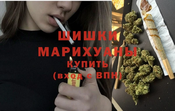 шишки Каменногорск