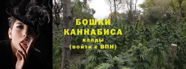 сатива Балахна